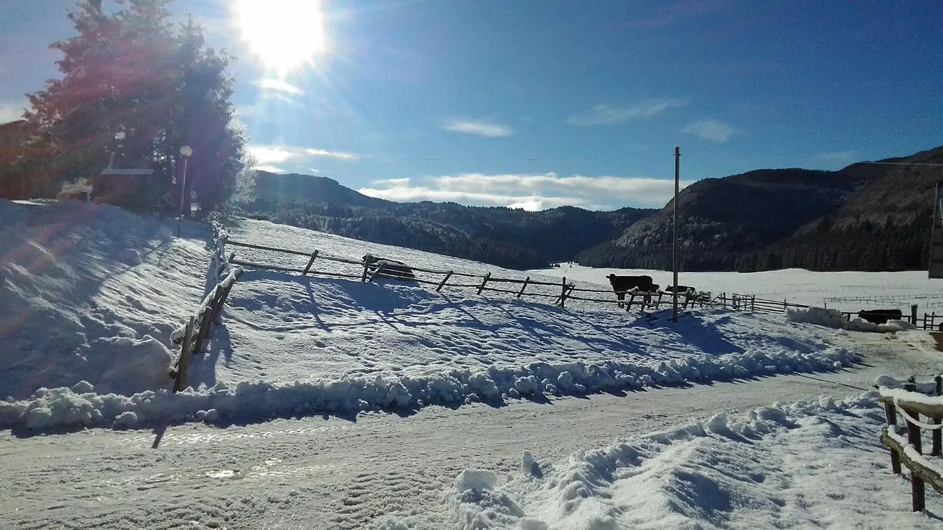 Ferienwohnung Casa Alpago Spert Italien
